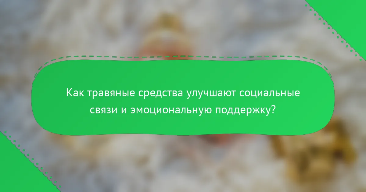Как травяные средства улучшают социальные связи и эмоциональную поддержку?