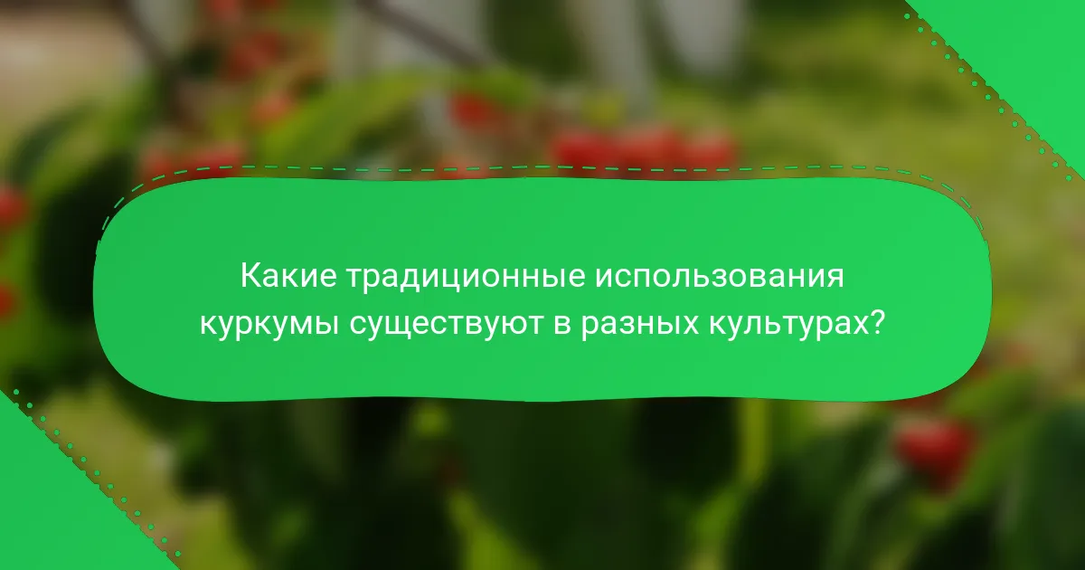 Какие традиционные использования куркумы существуют в разных культурах?