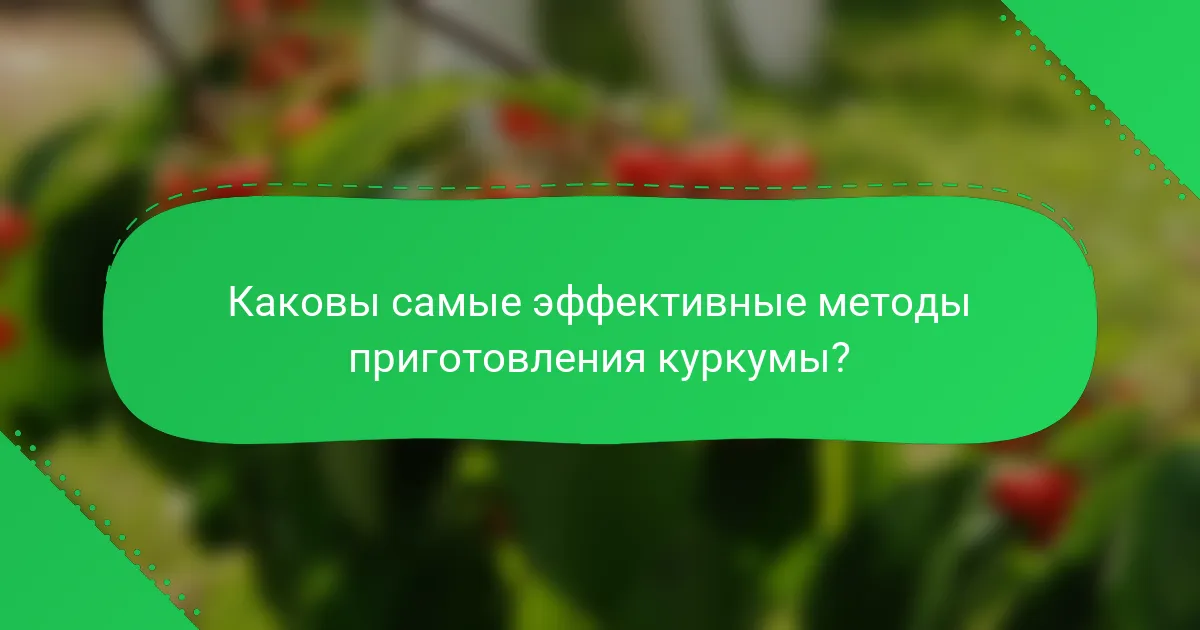 Каковы самые эффективные методы приготовления куркумы?